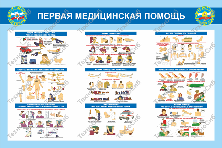 Стенд первая медицинская помощь